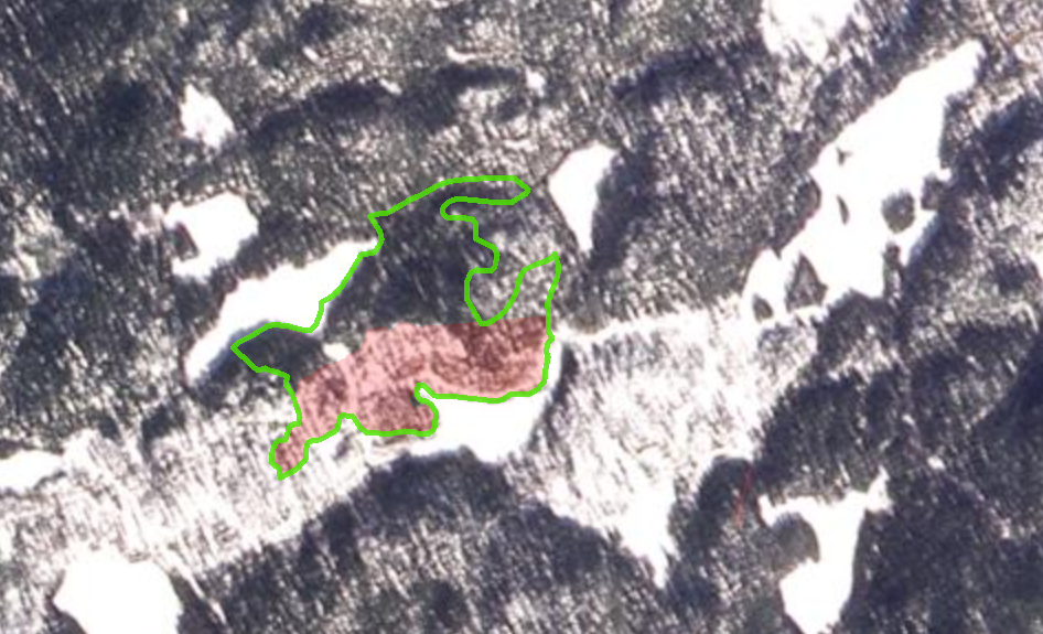 A satellite photo of tenure overlapping with a deferral area that has been logged (in red) Canim Lakes, Cariboo region