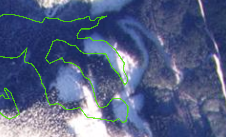 A satellite photo of tenure overlapping with a deferral area after being logged in Mt.Wolfenden Vancouver Island region