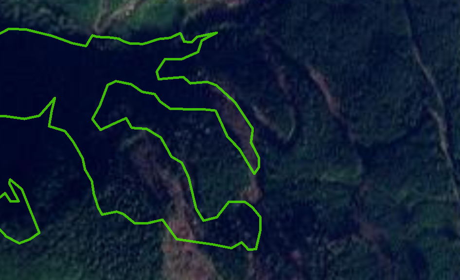 A satellite photo of tenure overlapping with a deferral area before being logged in Mt.Wolfenden Vancouver Island region