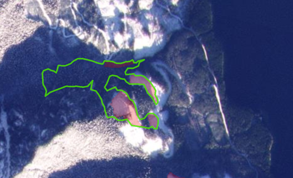 A satellite photo of tenure overlapping with a deferral area after being logged (in red) in Mt.Wolfenden Vancouver Island region