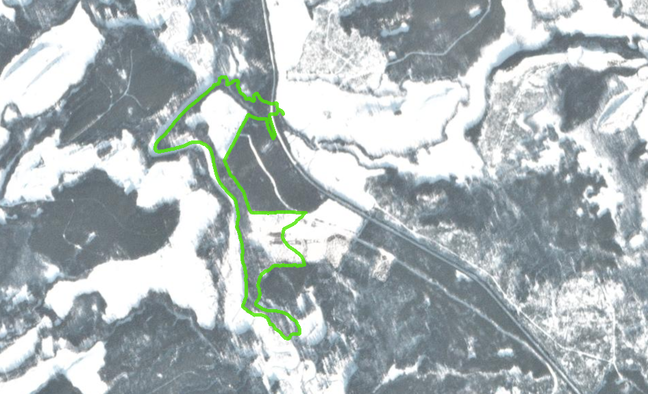 A satellite photo of tenure overlapping with a deferral area after being logged in Salmon River Prince George region