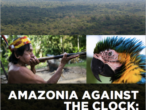Amazonia against the clock report cover