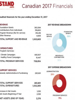 2017 Canadian Financial Summary - Stand