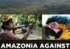 Amazonia against the clock report cover